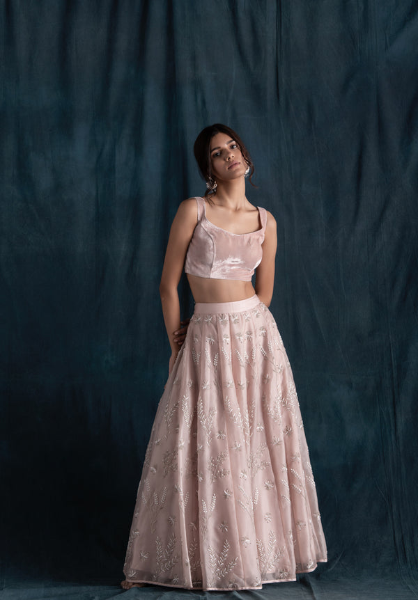 Blush Organza And Velvet Lehenga Set