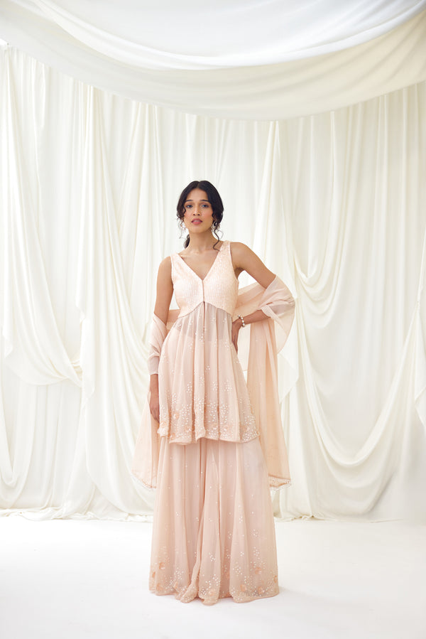 Frosted Flakes Sharara Set in Blush