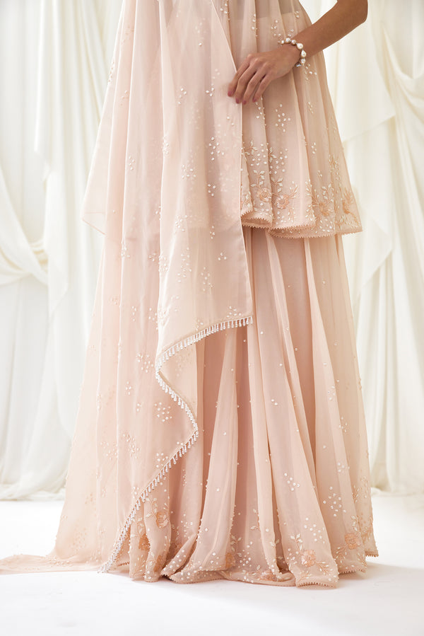 Frosted Flakes Sharara Set in Blush