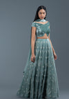 Rosemary Organza And Velvet Lehenga Set