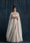 Soft Grey Embroidered Lehenga Set