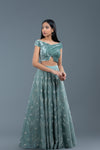 Rosemary Organza And Velvet Lehenga Set