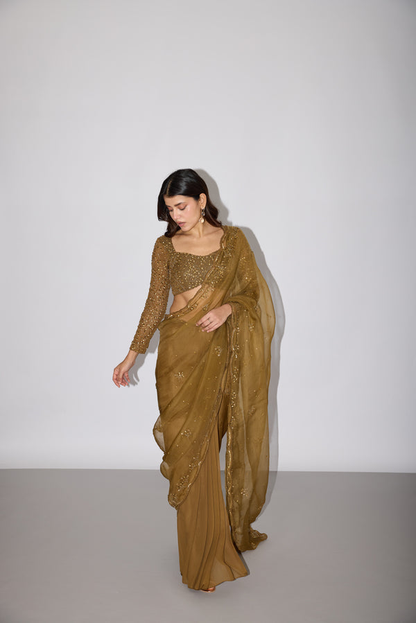 Bewitched Blooms Draped Saree