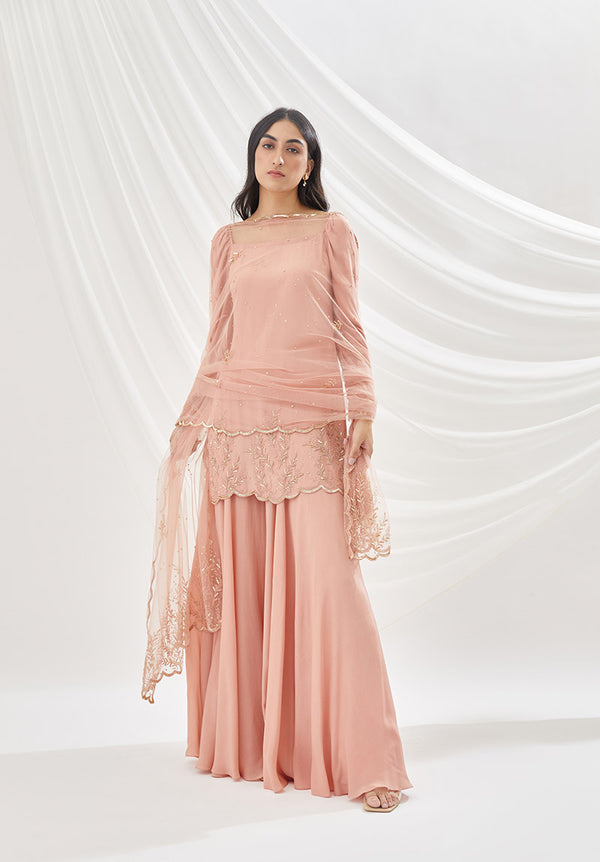 Rose Dust Sharara Set