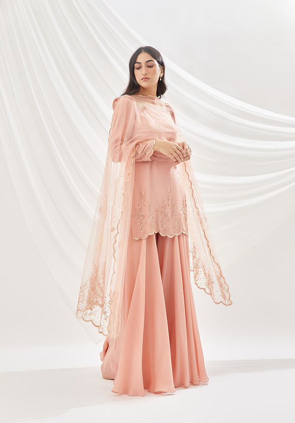 Rose Dust Sharara Set