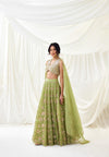 Nocturnes Lehenga Set in Green