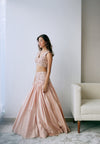 Blush Sand Lehenga Set