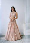 Blush Sand Lehenga Set