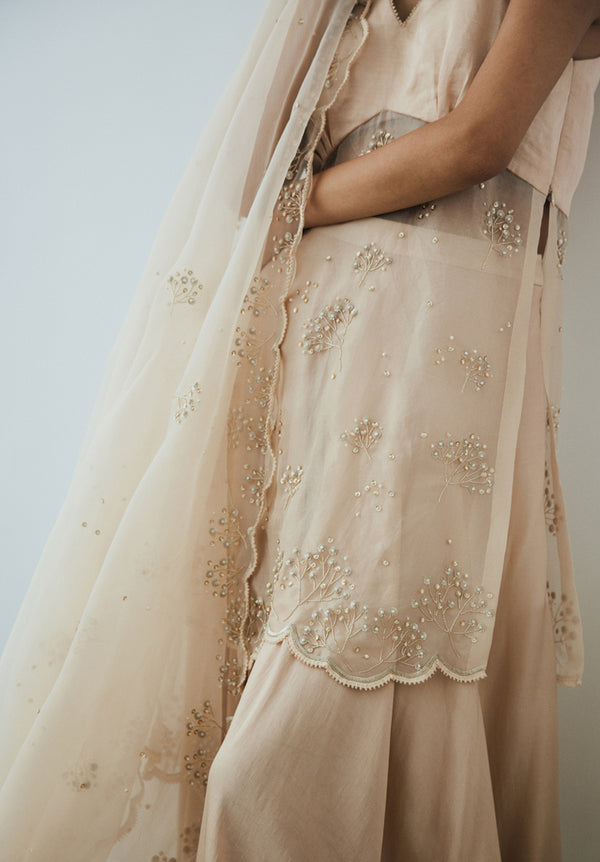 Pearled Sand Sharara Set