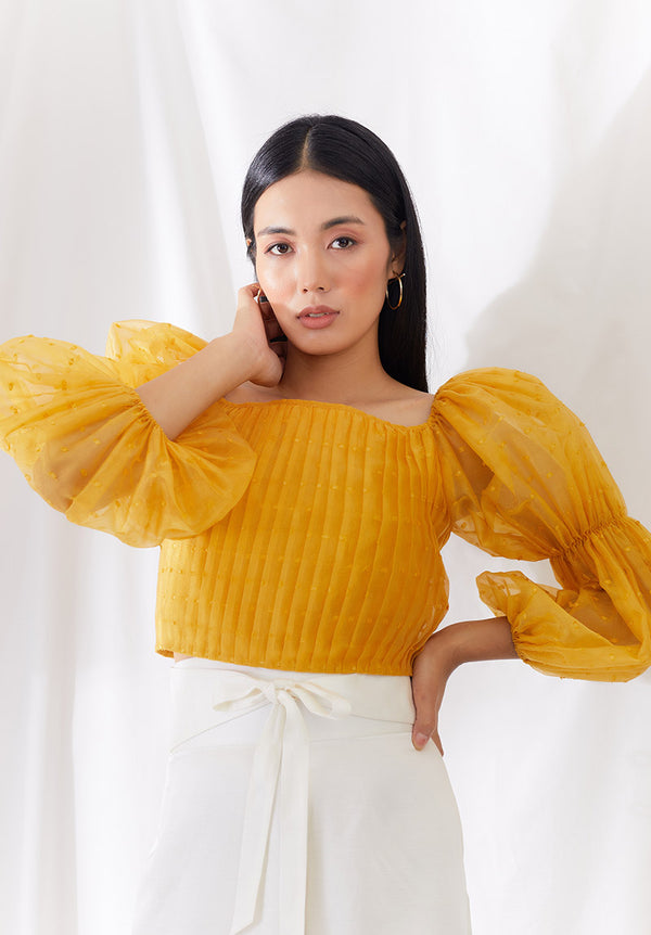 Sunkissed Billow Sleeve Top