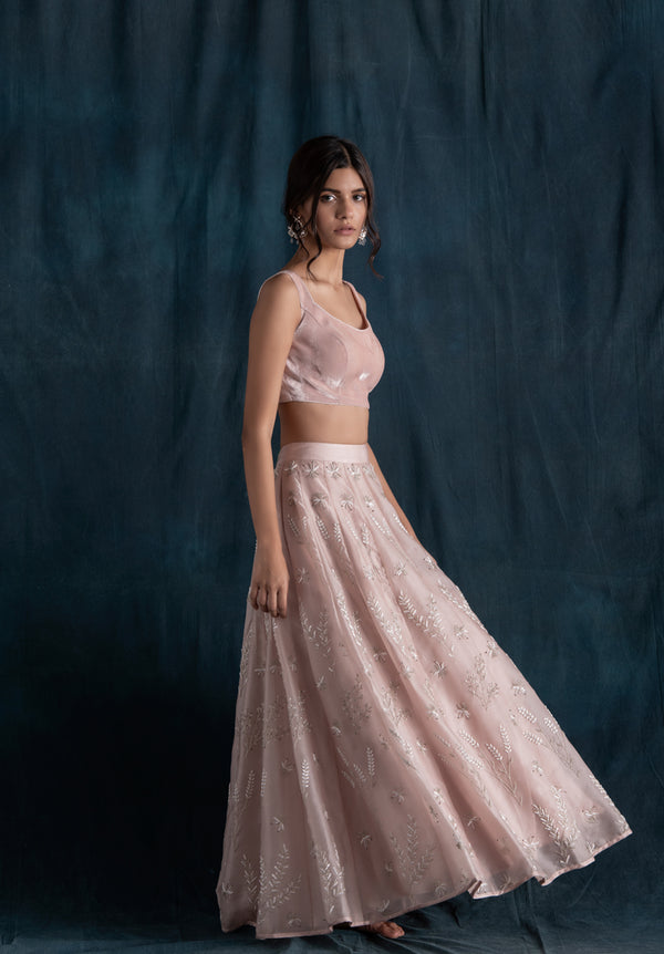 Blush Organza And Velvet Lehenga Set