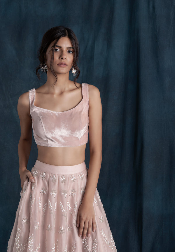 Blush Organza And Velvet Lehenga Set