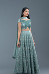 Rosemary Organza And Velvet Lehenga Set