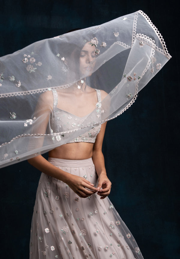 Soft Grey Embroidered Lehenga Set