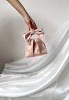 Blush Beau Bag