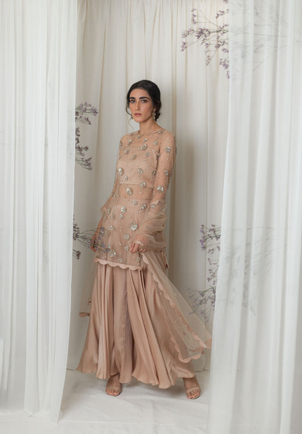 Gold Dust Sharara Set