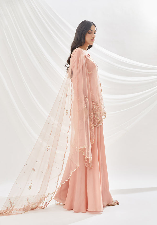 Rose Dust Sharara Set