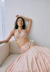 Blush Sand Lehenga Set