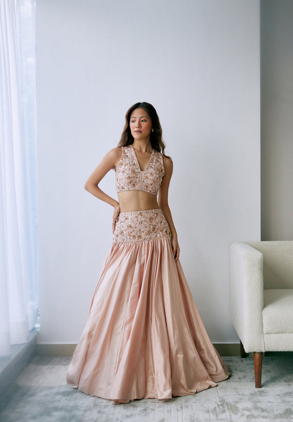 Blush Sand Lehenga Set